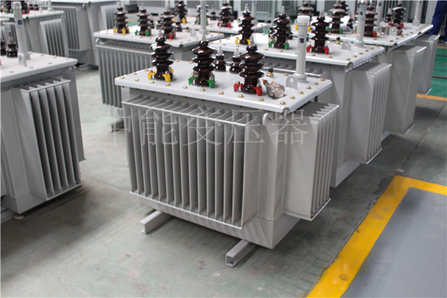 内江S22-250KVA/10KV变压器